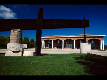 ECOLOGÍA Y VINO EN EL ECOTOUR DE BODEGAS TORRES.