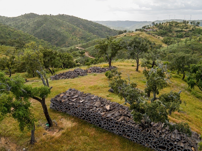 El abrazo del alcornoque: un gran plan en el Algarve